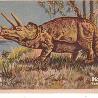 Erdal Tiere der Kreidezeit Der Triceratops S 41 Bild 1