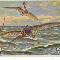 Erdal Tiere der Kreidezeit Pteranodoningens S 41 Bild 4