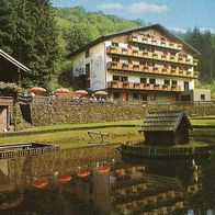 alte AK Kopp bei Gerolstein, Daun, Cafe "Zur Wandersruh"