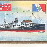 Saba Fracht u Passagier Motorschiff Macdhui Sydney Bild Nr 234