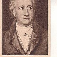 Deutsche Dichter u. Schriftsteller Johann Wolfgang v Goethe Bild 1
