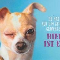 Spruchkarte Du hat auf ein Zeichen gewartet … (K9)