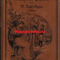 Das Buch der Eltern von Dr. Karl Oppel, seltene rarität aus dem Jahr 1896