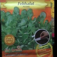 Feldsalat "Accent" Saatband resistent gegen Mehltau