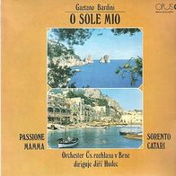 Gaetano Bardini - O Sole Mio