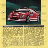 Bauplan Peugeot 307 WRC 2004