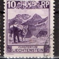 Liechtenstein gestempelt Michel Nr. 96B