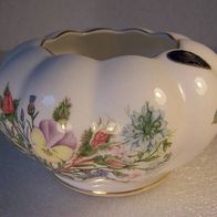 Flache Aynsley-Porzellan-Vase mit Wildblumen-Dekor