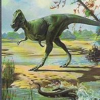 Dinosaurs Postcard Book 6 Benedikt Taschen Verlag