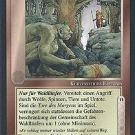 Middle Earth CCG (MECCG) - Geheime Pfade (C) - METD