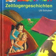 Leselöwe Zeltlagergeschichten Ulli Schubert