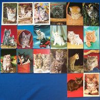 20 alte Katzen-Ansichtskarten