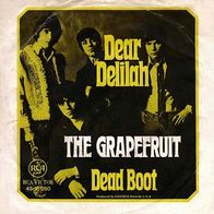 7"GRAPEFRUIT · Dear Delilah (RAR 1967)