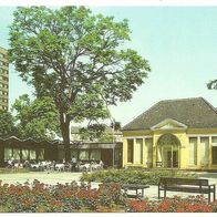 DDR Ansichtskarte DESSAU Stadtpark Teehäuschen Y-Haus Postkarte post card GDR