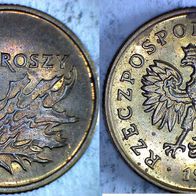 Polen 5 Groszy 1998 (0065)