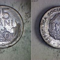 Rumänien 25 Bani 1966 (0238)