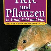 Buch - Tiere und Pflanzen in Wald, Feld und Flur - Gerald Bosch / Manfred Kurz