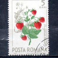 Rumänien Nr. 2361 gestempelt (1653)
