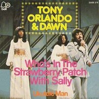 Tony Orlando & Dawn - Who´s In The Strawberry Patch With Sally -7"- Bell 2008 219 (D)