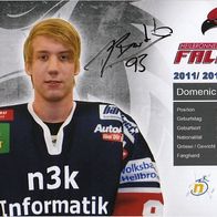 Domenic bartels - Heilbronner Falken Foto 11/12 - Ex Hamburg Freezers