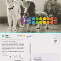 Postkarte - "Hund und Katze" - für Sammler