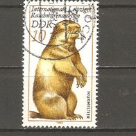 Briefmarken----DDR---1982--Gestempelt-----Mi 2677-----