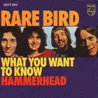 Rare Bird - What You Want To Know - 7" - Philips 6073 302 (D) 1972