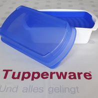 Tupperware * Four Seasons Kleine Lunch-Box mit Frischegitter * blau + weiß