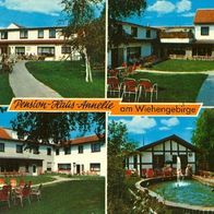 32361 Preussisch Oldendorf - Bad Holzhausen Pension Haus Annelie Werbe AK