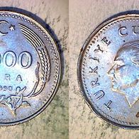 Türkei 1.000 Lira 1990 (0989)