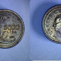 Türkei 5000 Lira 1995 (1017)