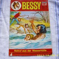 Bessy Nr. 604