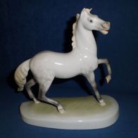 Hengst / Cavallo / Stallion - Herend Porzellan Hungary
