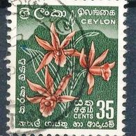 Ceylon (Asien) Mi. Nr. 303 Sternorchidee o <