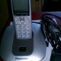 Panasonic Telefon KX-TG6411 G