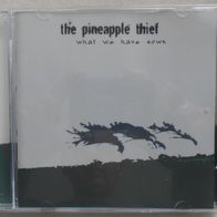 Pineapple Thief - What We Have Sown CD 2007 Cyclops