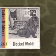DEFA Dia Film Rollfilm Nr. 261 "Dackel Waldi" Color-Bildband