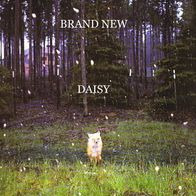 Brand New --- Daisy