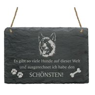 SCHÖNSTER HUND » Spruch Hunde Dekoration Deko Wand Schiefertafel « DALMATINER 