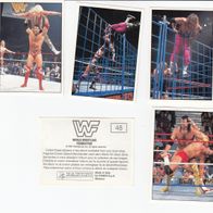 Panini 1995 WW World Wrestling Bild 1 - 240 Sie bieten auf ein Bild