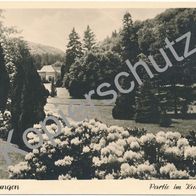 22) AK Bad Wildungen Kurpark 1956