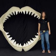 Großer Weißer Hai Gebiss Groß lebensgroß 200cm für draußen aus GFK