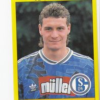Panini Fussball 1994 Hendrik Herzog FC Schalke 04 Nr 140