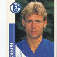Panini Fussball 1996 Ingo Anderbrügge FC Schalke 04 Nr 285
