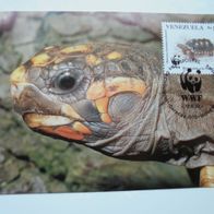 Venezuela MK Maximumkarte WWF Köhlerschildkröte 1992