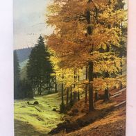 Ansichtskarte Landschaft - Photocrome 131/2548 - gelaufen 26.10.2011 Halle Y72u