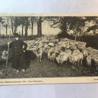 Ansichtskarte Deutscher Mädchenkalender 1914 - gelaufen 16.5.22 Maltso Schlesien K51