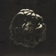 Ghost Community - Cycle Of Life CD