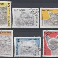 BM053) Bulgarien Mi. Nr. 3808/13 gest. Katzen