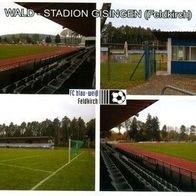 AK Wald-Stadion Postkarte Gisingen FC Blau-Weiß Feldkirch BW Fußball Vorarlberg